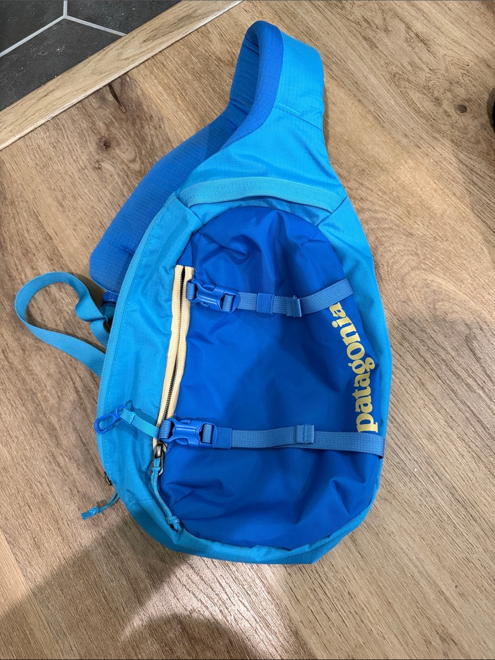 Patagonia Blue Sling Pack